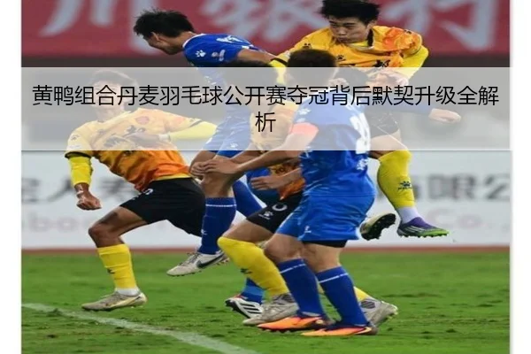 黄鸭组合丹麦羽毛球公开赛夺冠背后默契升级全解析